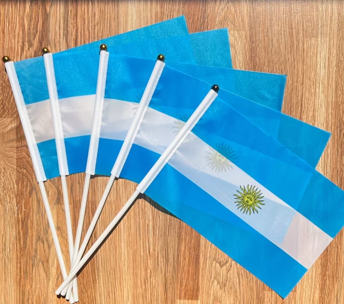 Banderas Argentina 14x21 cm plástica