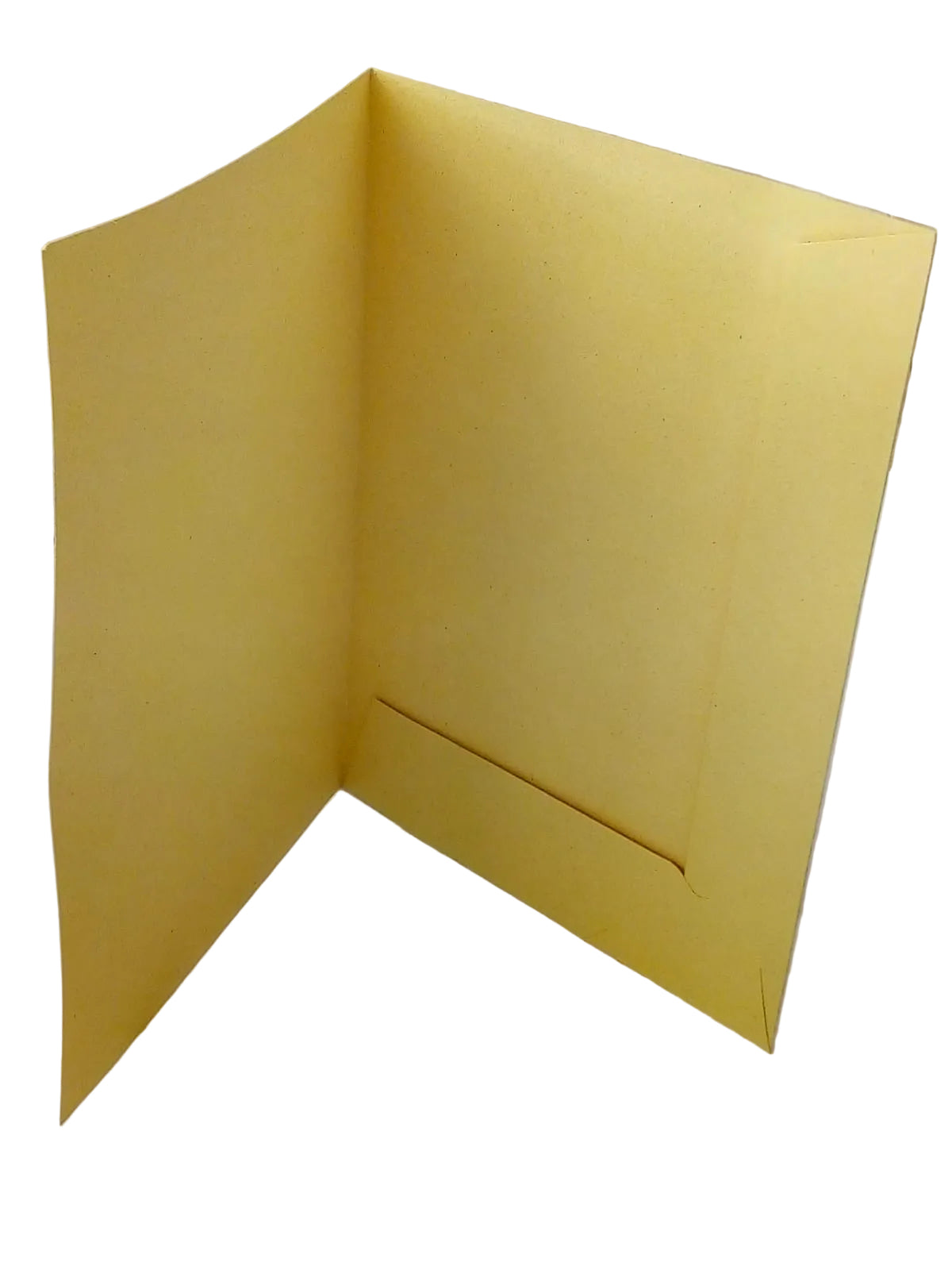 carpeta A4 2 solapa color