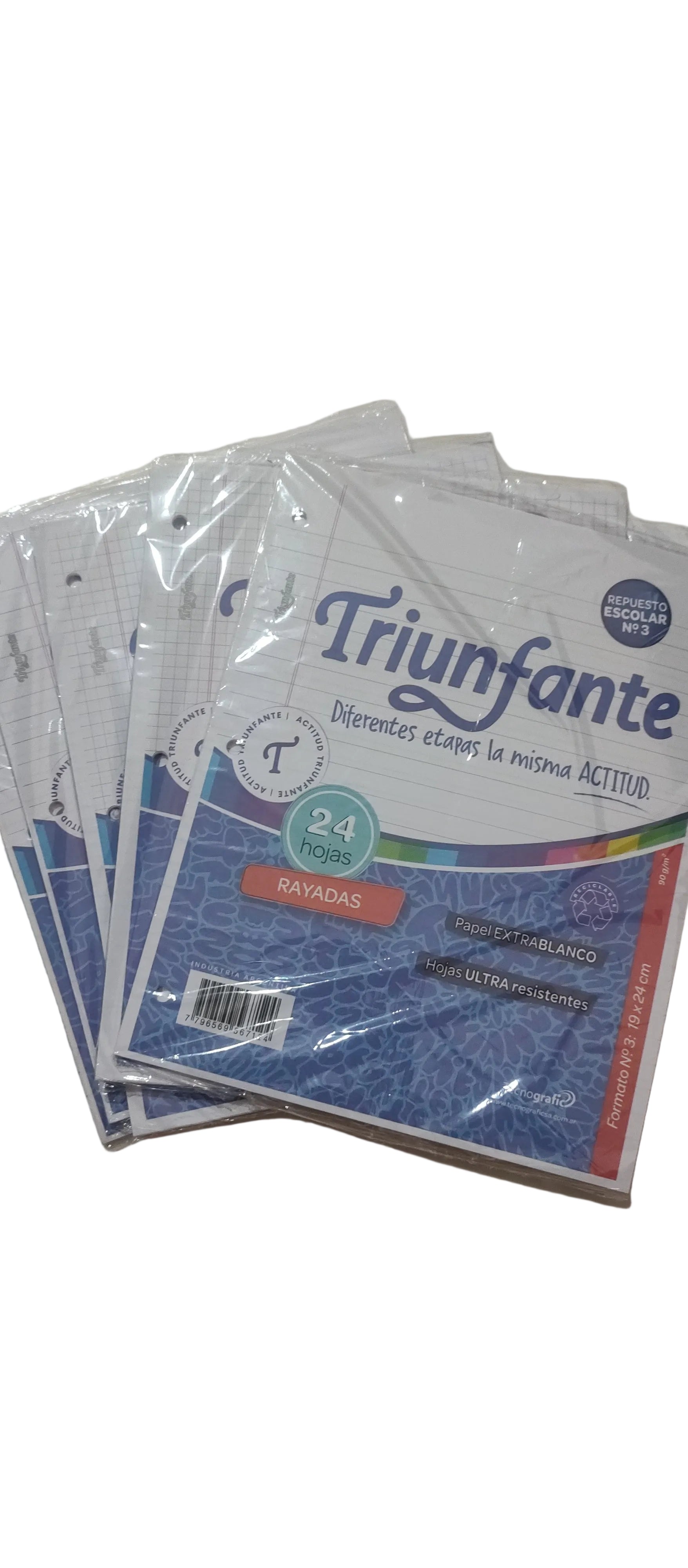 Repuestos Triunfante 24hj