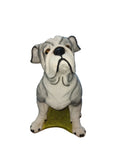 Perro Alcancia