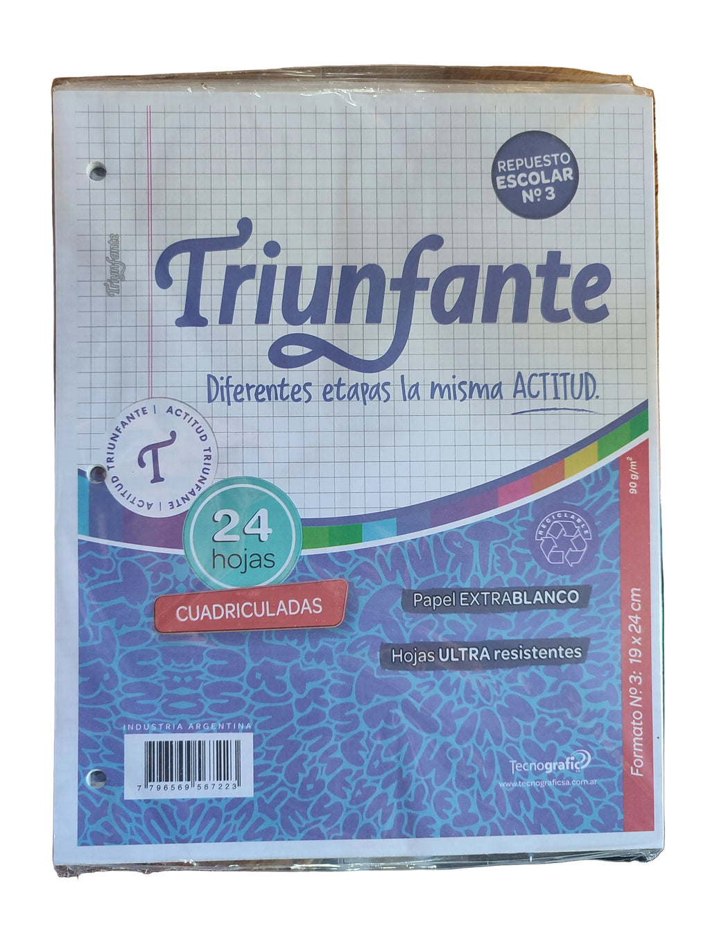 Repuestos Triunfante 24hj
